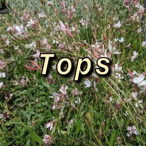 Tops